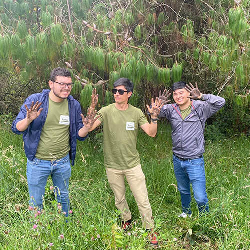 siembra-arboles-pattex-sostenibilidad
